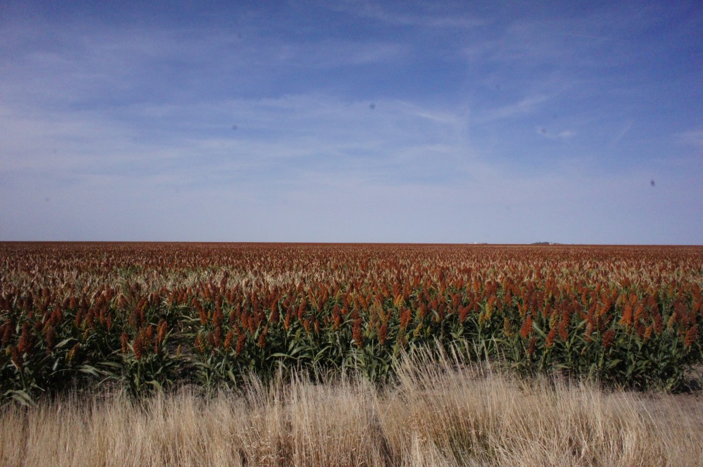 Kansas Flat iheartcardio